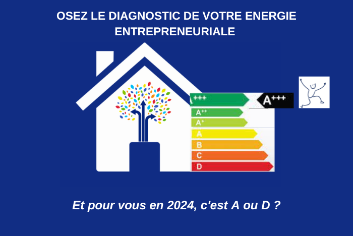 un quizz et un diagnostic "apprennant pour évaluer vos énergies entrepreneuriales et les développer